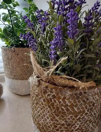 Zise Flor-de-lis Appartement Conceição