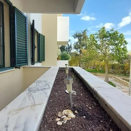 Zise Flor-de-lis * Conceição