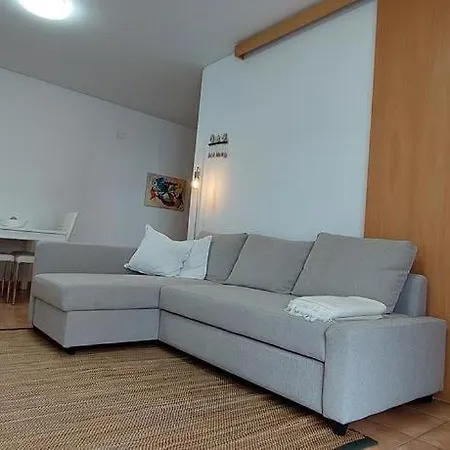 Zise Flor-de-lis Conceição