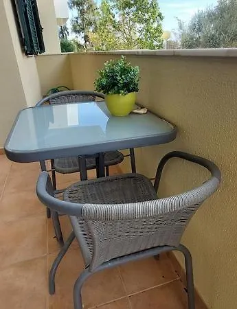 Zise Flor-de-lis * Conceição