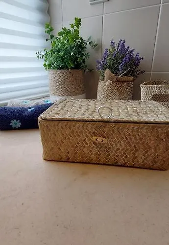 Appartement Zise Flor-de-lis Conceição